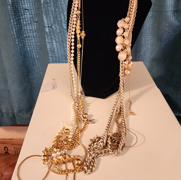 Does your tree need gay apparel? - Picture 4 of 4